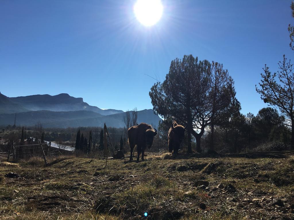Hotel Familiar El Jou Nature Sant Corneli Exterior foto